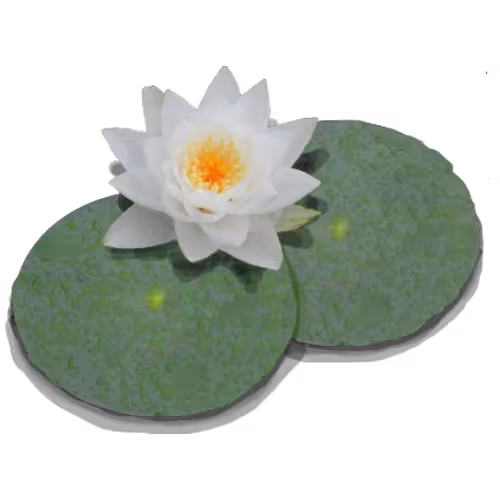 LilyPond